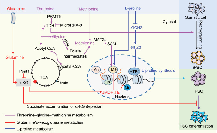 Figure 1