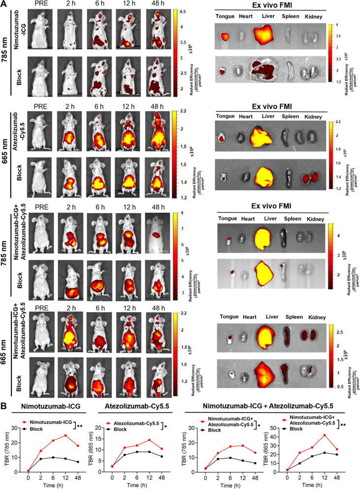 Fig. 4