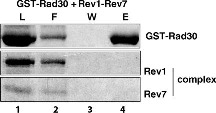 FIG. 5.