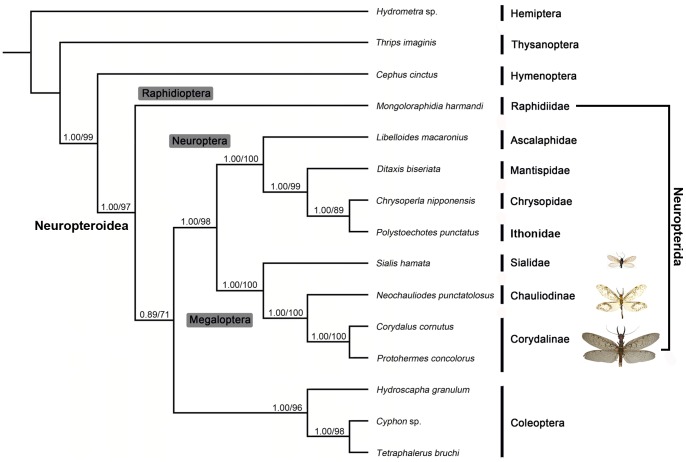 Figure 7