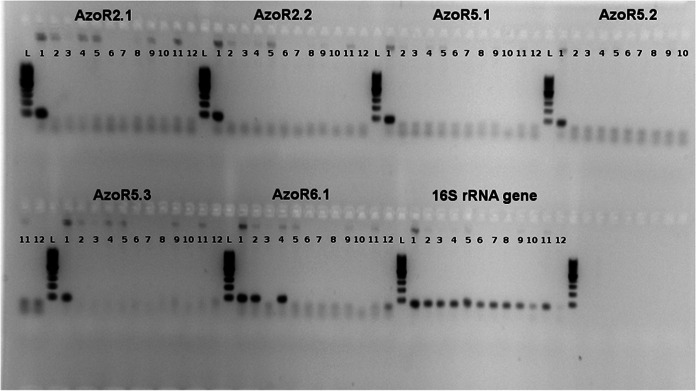 FIG 1