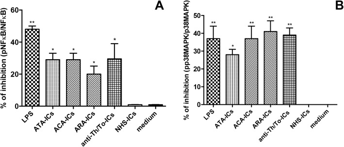 Fig. 12