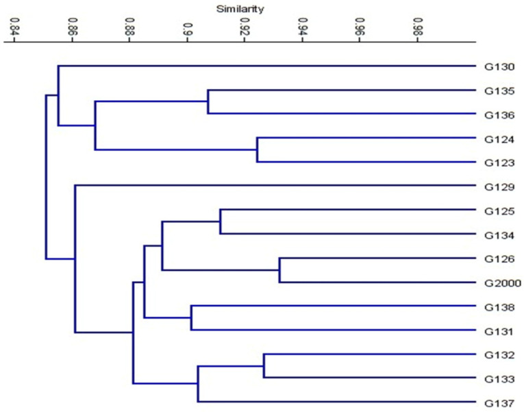 Figure 7