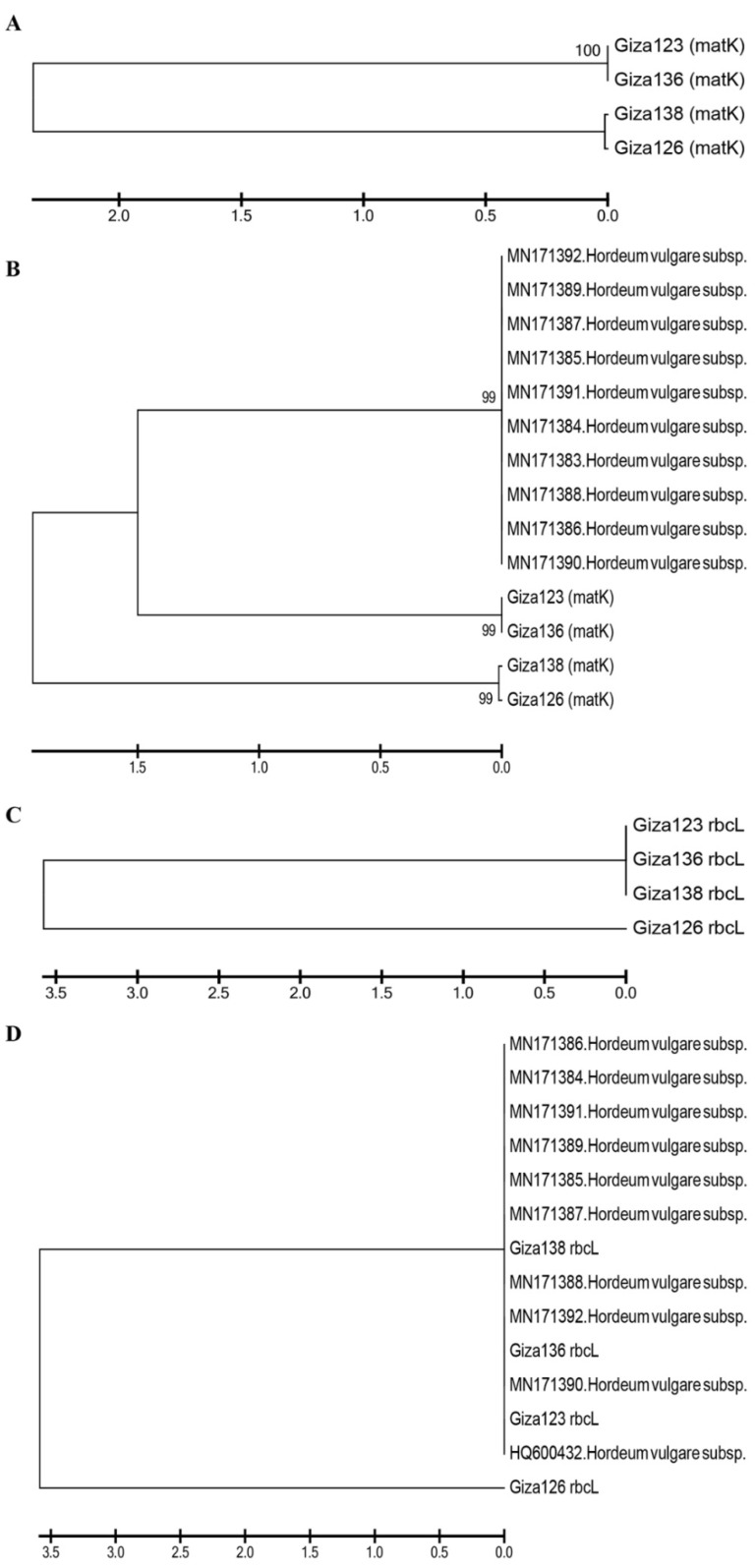 Figure 9