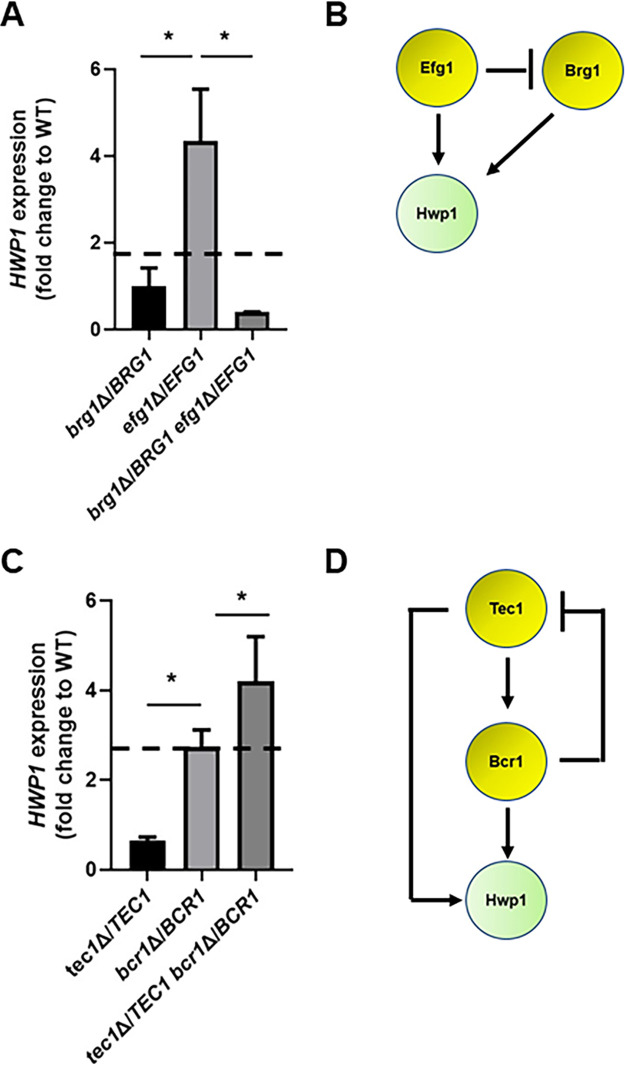 FIG 3