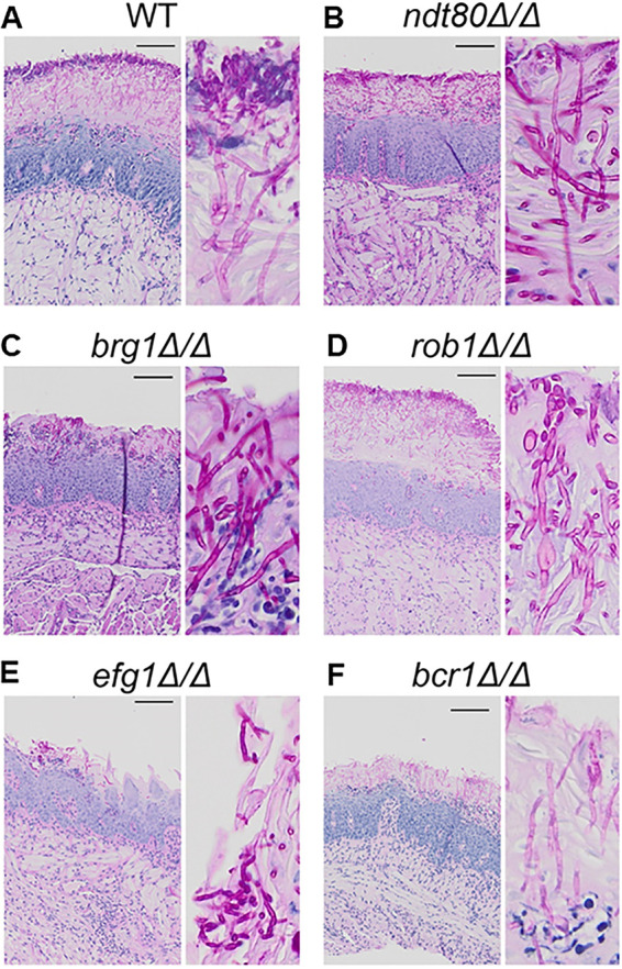 FIG 6