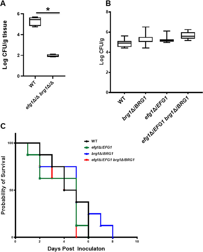 FIG 4