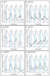 Fig. 3.