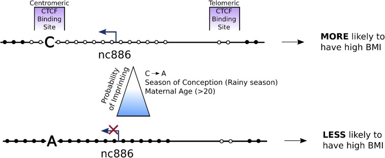 Fig. 5.