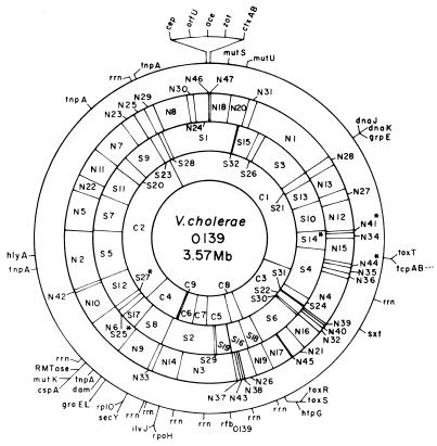 FIG. 5