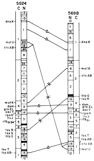 FIG. 6