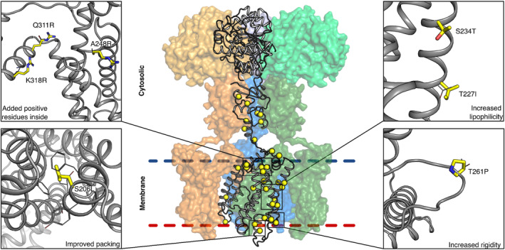 FIGURE 3