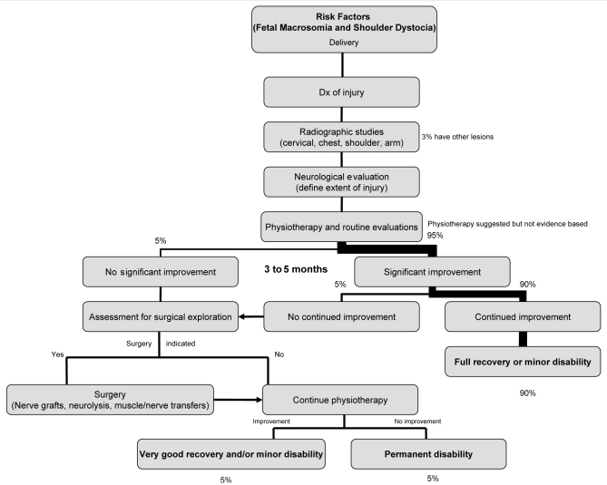 Figure 1)