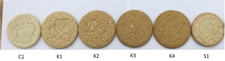 Fig. 2