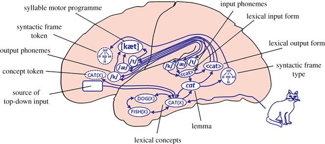 Figure 1.