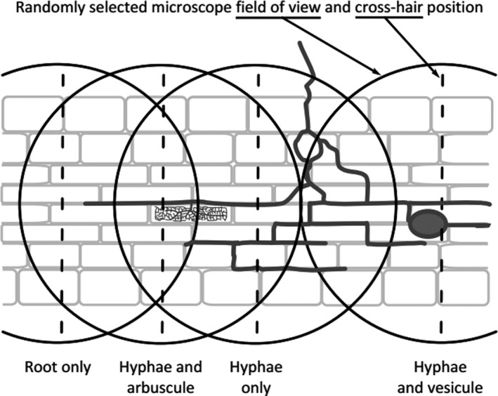 Fig. 27