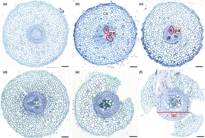 Fig. 17