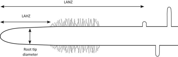 Fig. 28