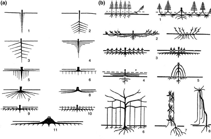 Fig. 14