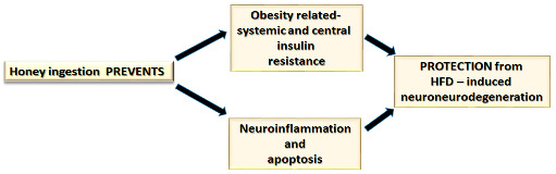 graphic file with name nutrients-14-00756-i001.jpg