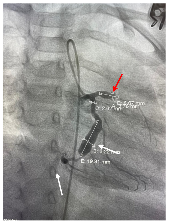 Figure 5