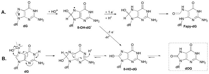 Scheme 4