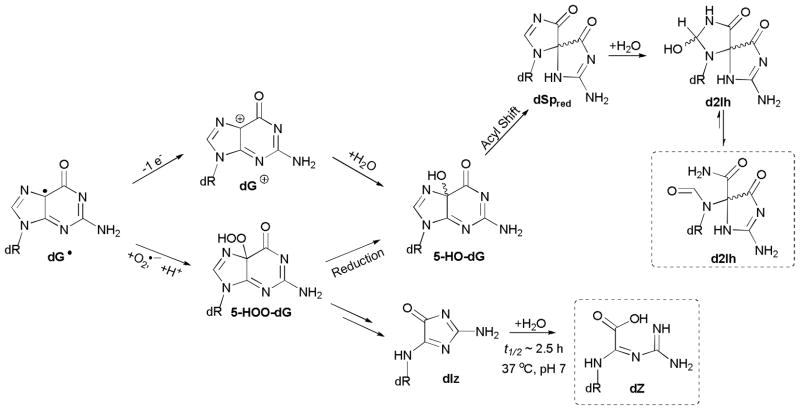 Scheme 2