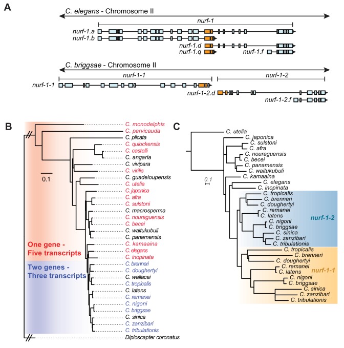 Figure 6.