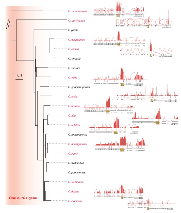 Figure 6—figure supplement 2.