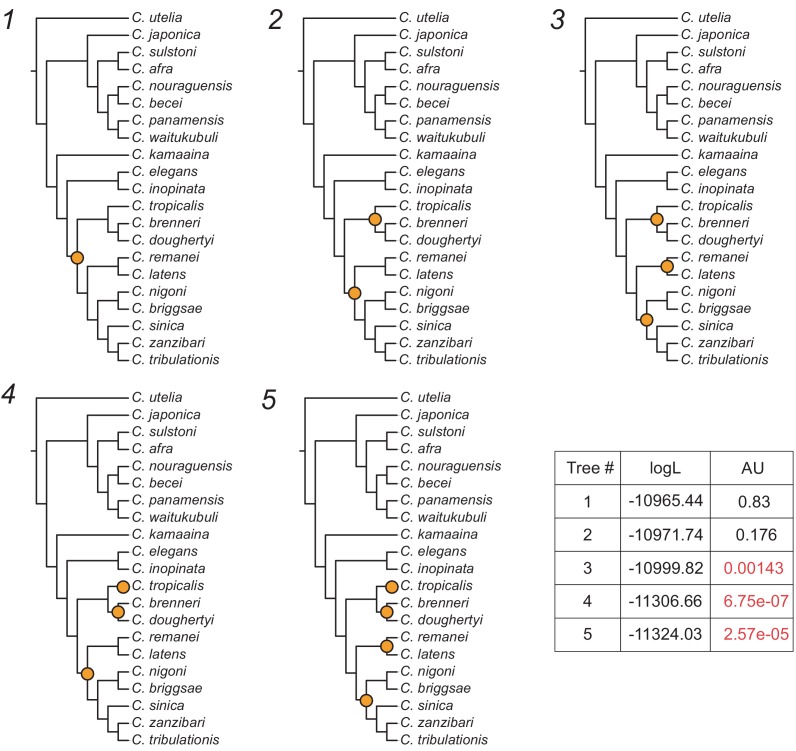 Figure 6—figure supplement 4.