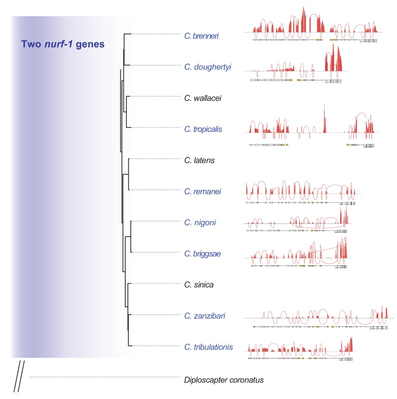 Figure 6—figure supplement 3.