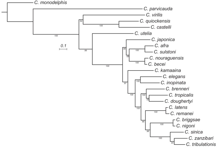 Figure 6—figure supplement 5.