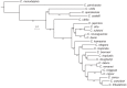 Figure 6—figure supplement 5.