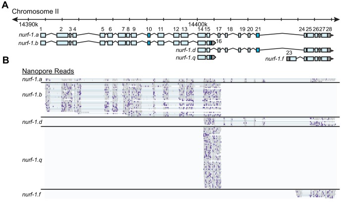 Figure 2—figure supplement 2.