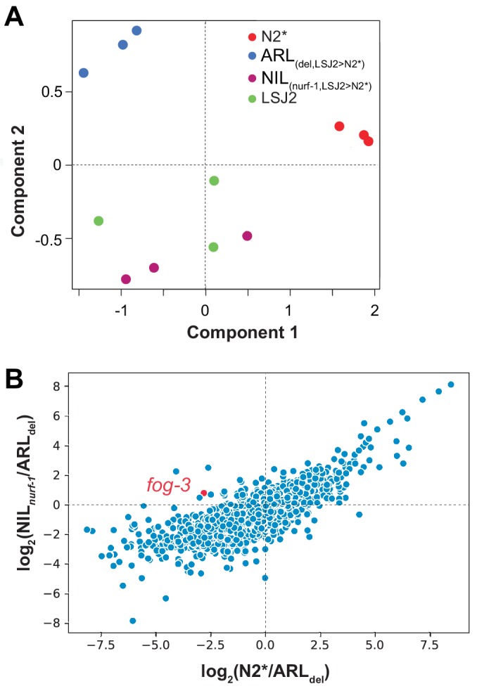 Figure 5—figure supplement 1.