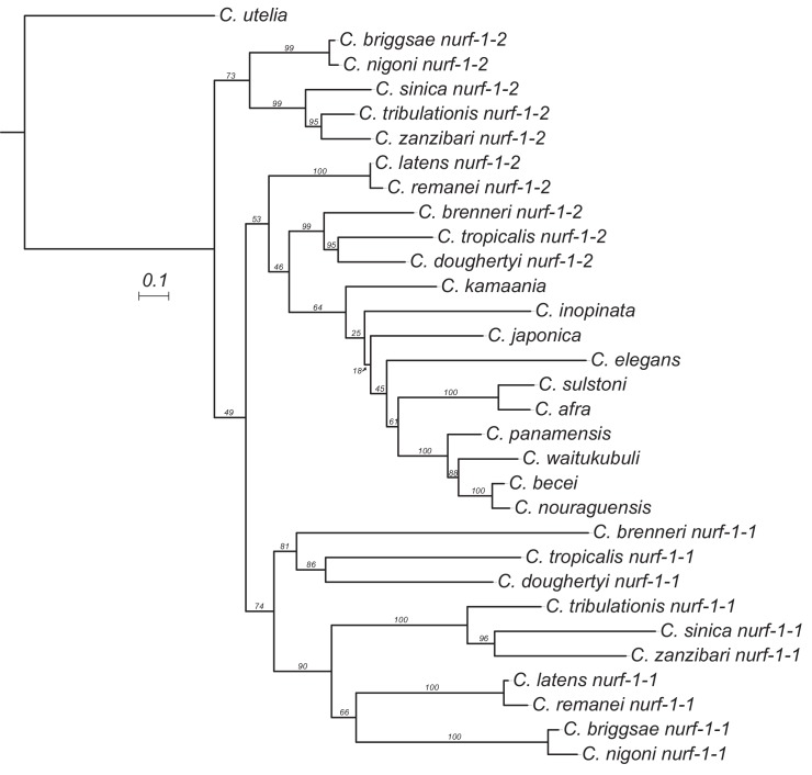 Figure 6—figure supplement 6.