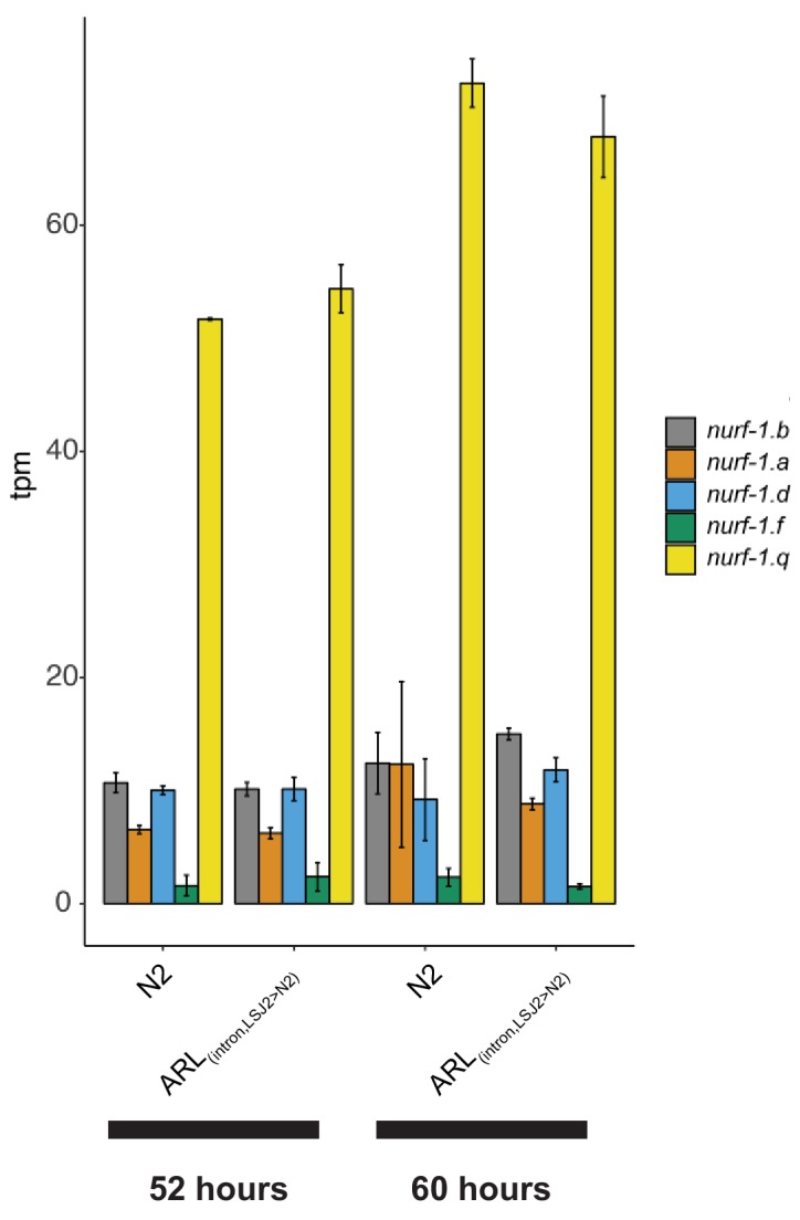 Figure 2—figure supplement 3.