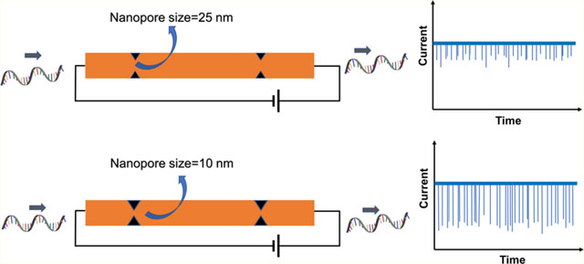 graphic file with name nihms-1735521-f0001.jpg