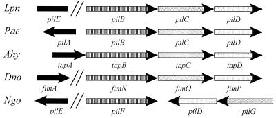 FIG. 4