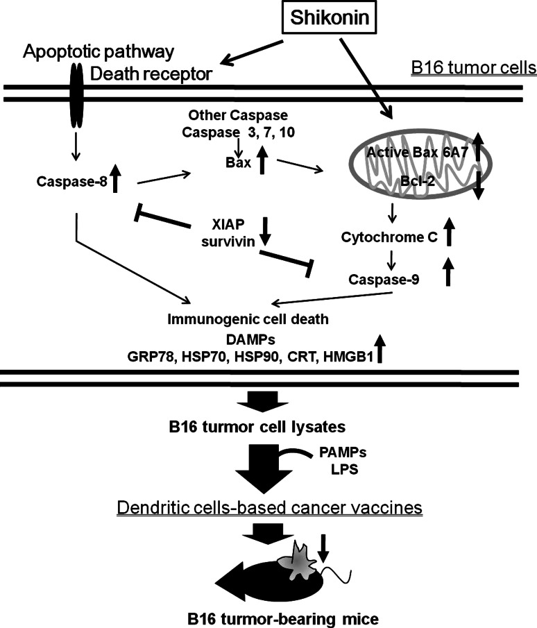 Fig. 6