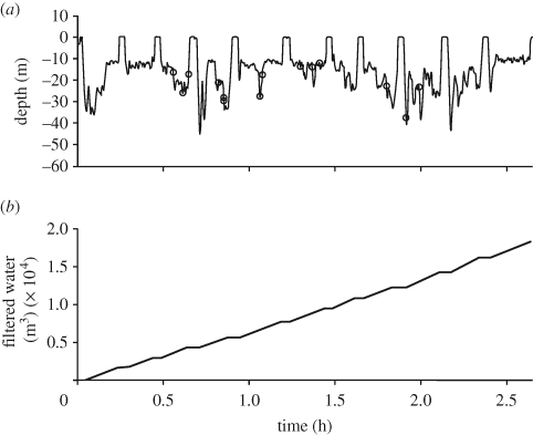 Figure 4.