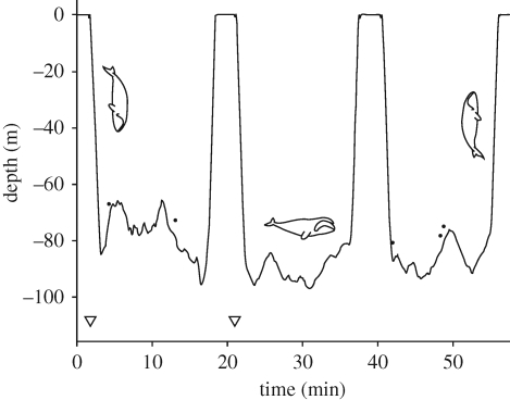 Figure 1.