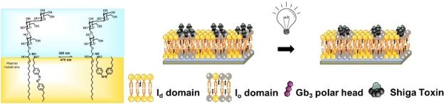 graphic file with name CHEM-29-0-g003.jpg