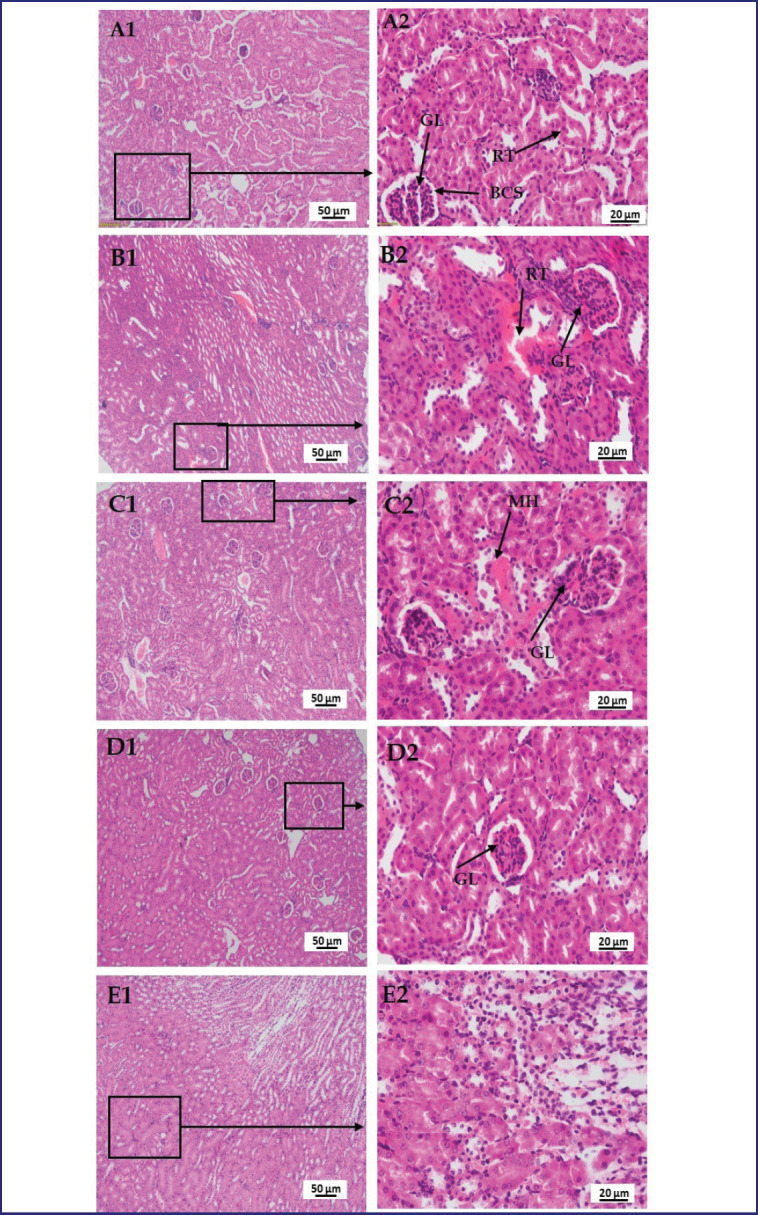 Figure 9.