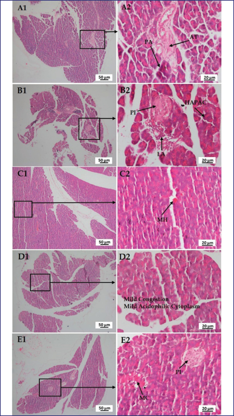 Figure 12.