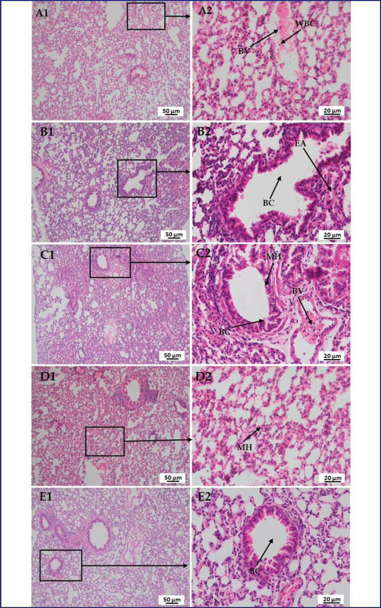 Figure 10.