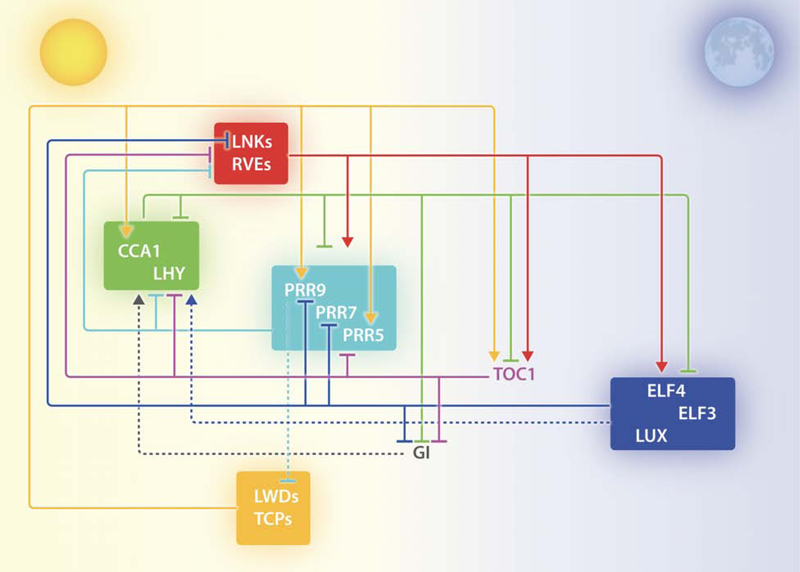 Figure 1: