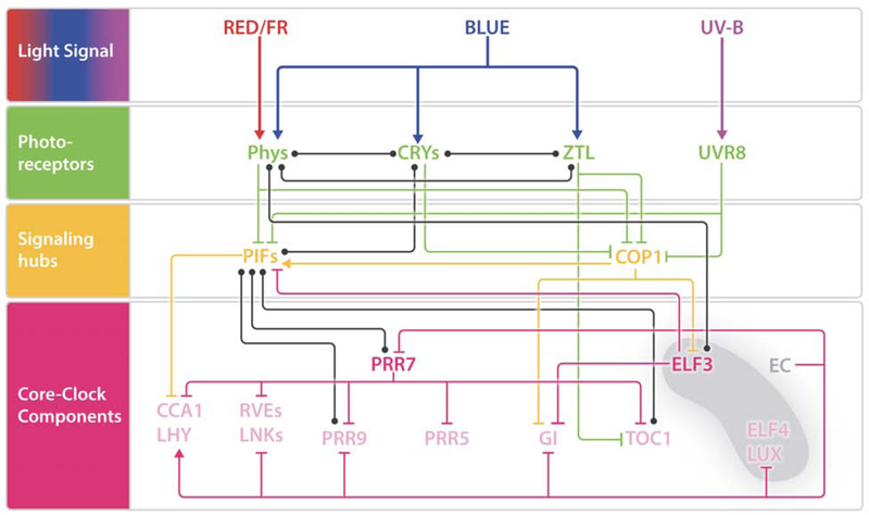 Figure 3: