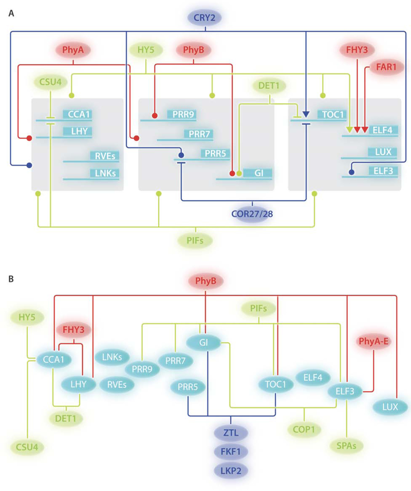 Figure 2: