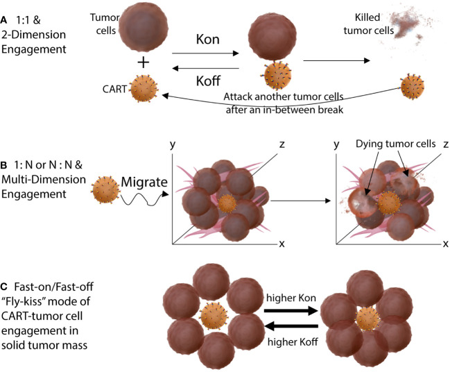 Figure 3